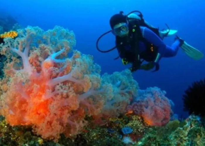 Maha Nusa Menjangan Maison d'hôtes Banyuwedang
