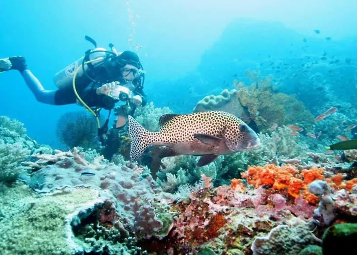 Maha Nusa Menjangan Maison d'hôtes Banyuwedang