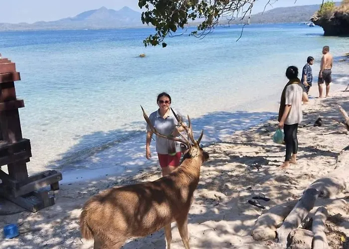 Maha Nusa Menjangan Maison d'hôtes 3*